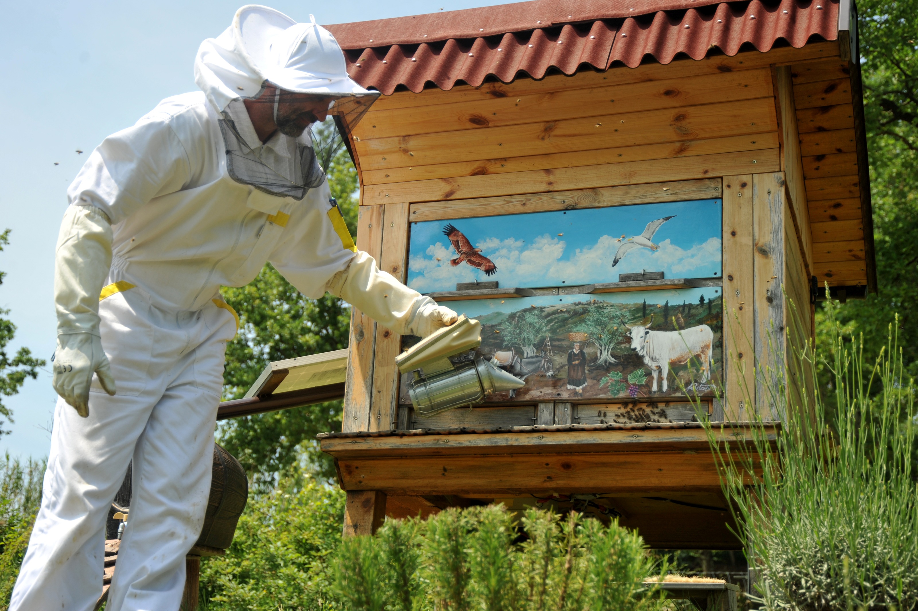 Čebelarstvo v Sloveniji. Foto: A. Jerin, 2024