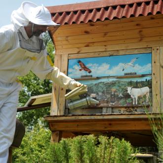 Čebelarstvo v Sloveniji. Foto: A. Jerin, 2024