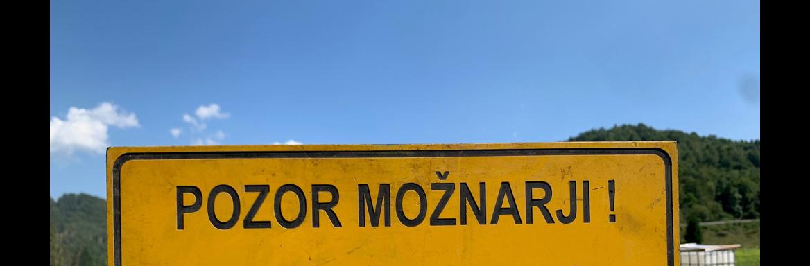 Srečanje možnaristov v Bohinjski Bistrici. Foto: M. Špiček, 2024