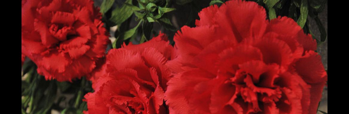 Foto: Anja Jerin, 2014. 