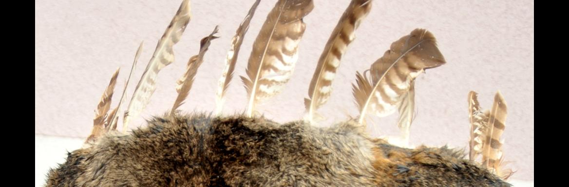 Foto: Anja Jerin, 2014. 