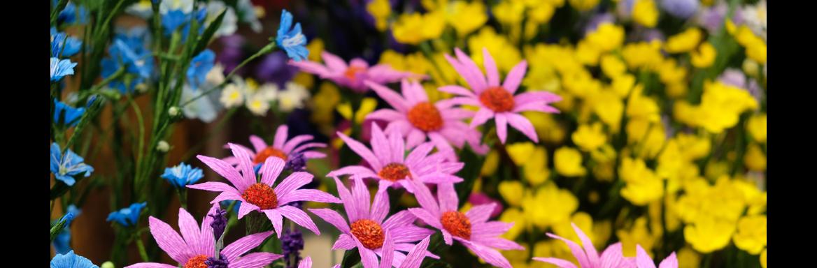 Foto: A. Jerin, 2019 