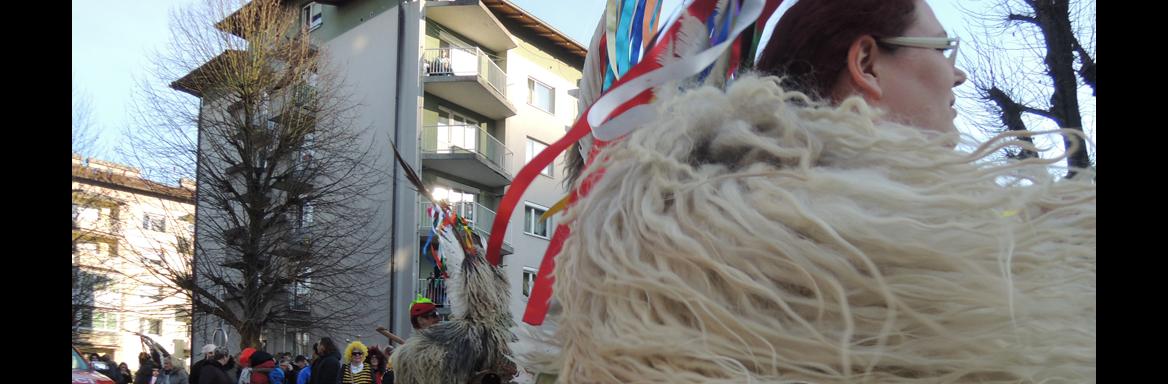 Foto: Nena Židov, 2016. 