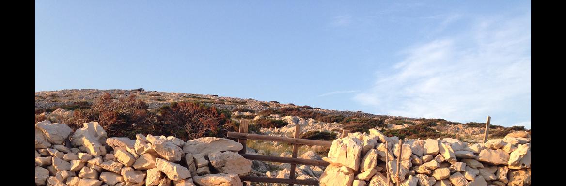 Suhi zid, foto: M. Špiček, 2018