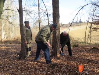 Borovo gostuvanje, Križevci. Foto: N. Židov, 2017. 