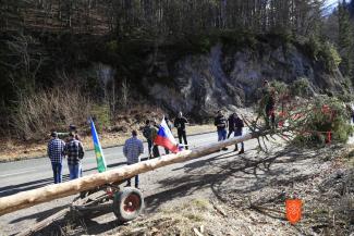 Vleka ploha v Gorjah. Foto: M. Špiček, 2024