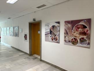 Razstava The living crafts in SE Europe. Foto: T. Roženbergar, 2025