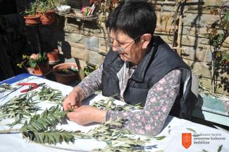 Vilma Lovrenčič pri izdelovanju oljčnih palm. Foto: A. Jerin, 2021