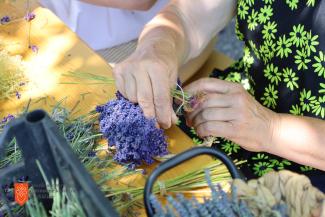 Spletanje venčkov sv. Ivana. Foto: M. Špiček, 2022