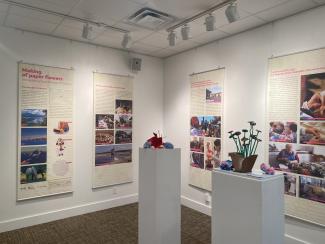 Utrinek z razstave. Foto: G. Nosan (Slovenski muzej in arhivi), 2024