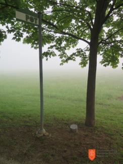 Drevo ob Poti ob žici, ki ga je posadilo društvo Zeleni prstan. Foto: A. Jerin, 2017. 