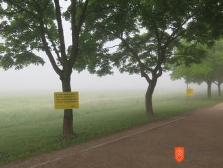 Drevesa, ki jih je posadilo društvo Zeleni obroč s posvetili, ki jih je pripravila organizacija Amnesty International. Foto: A. Jerin, 2017. 