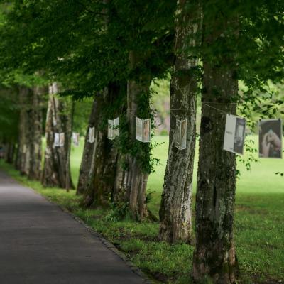 Razstava na prostem, ki prikazuje rokodelske panoge v registru. Foto: Jana Jocif, 2023 (FB Konzorcij rokodelskih centrov)