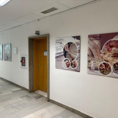 The exhibition The living crafts in SE Europe. Photo: T. Roženbergar, 2025