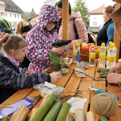 Spuščanje gregorčkov v Radomljah. Foto: A. Jerin, 2023