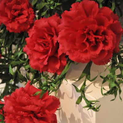 Foto: Anja Jerin, 2014. 