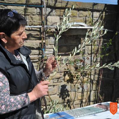 Vilma Lovrenčič pri izdelovanju oljčnih palm. Foto: A. Jerin, 2021