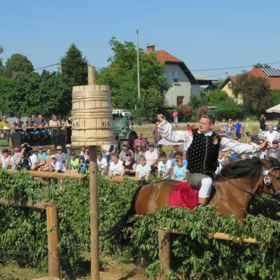 Posavsko štehvanje. Foto: N. Židov, 2022 