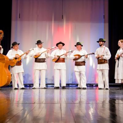 Kulturno umetniško društvo Božo Račič Adlešiči. Foto: T. Jankovič, 2017